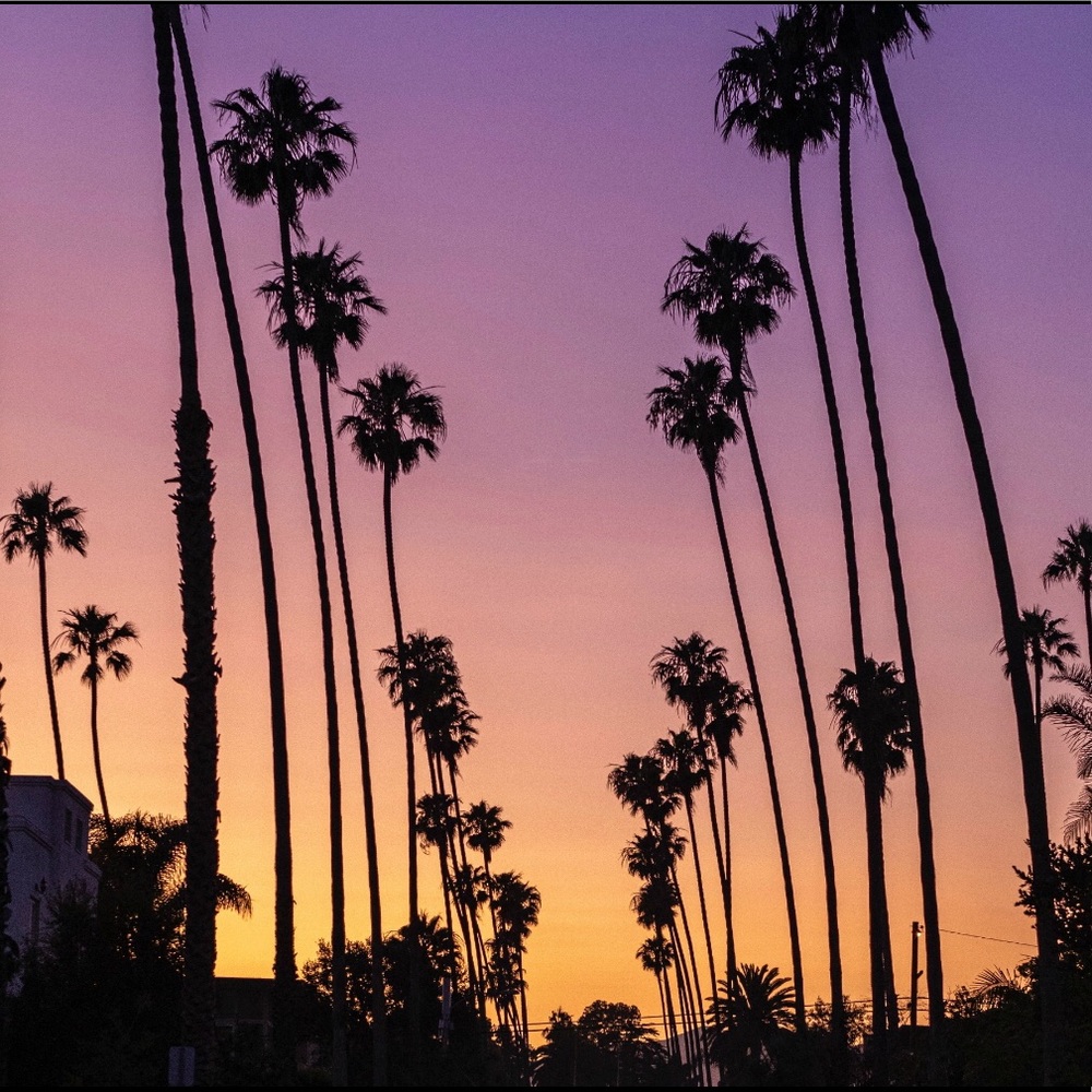 Meet your Posher, Jen